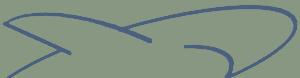 Sugarshark Logo